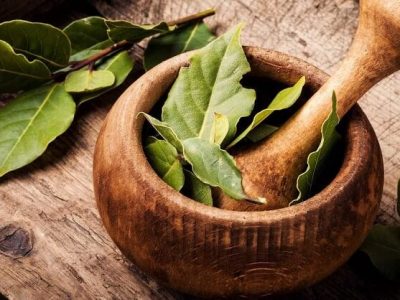 Health First | जाणून घ्या तेजपत्ता आहे आरोग्यास लाभदायी