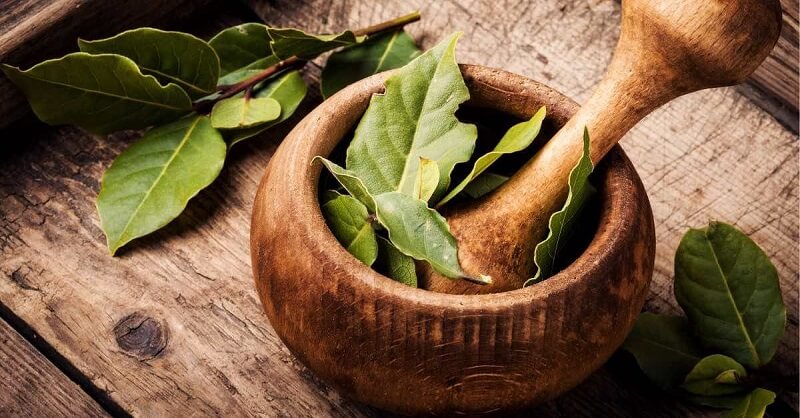 benefits of bay leaves