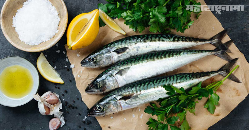Benefits, Eating Fish, Health fitness, Marathi News ABP Maza
