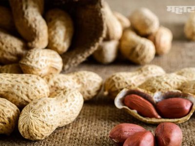 Health First | गुणकारी शेंगदाणे | भूक आणि पचनशक्ती वाढविण्यासाठी उत्तम