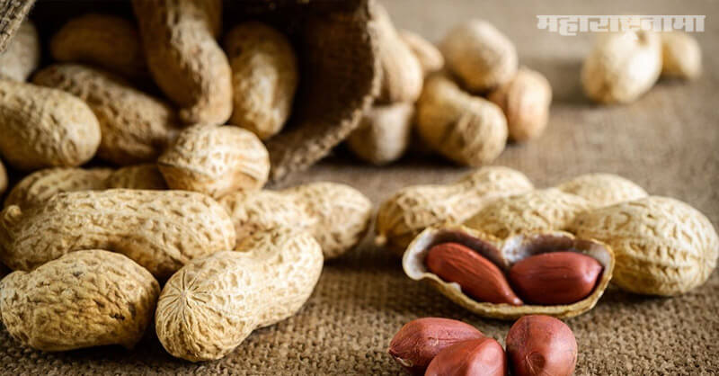 Peanuts, improves digestion, Increases appetite, health fitness