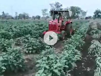 BJP former MP destroying his own 5 acre farm