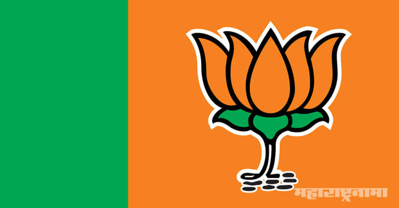 Vidhansabha Election 2019, Assembly Election 2019, BJP IT Cell