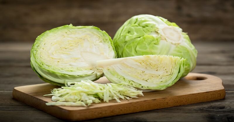 Cabbage is good for improving digestion health news updates