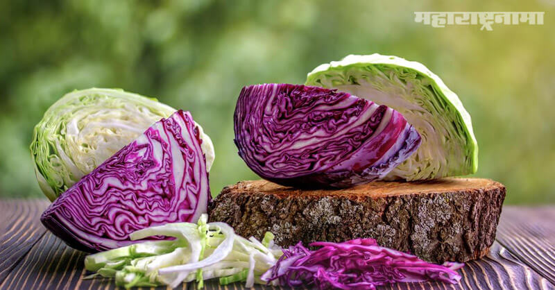 Cabbage, Improving digestion, health fitness