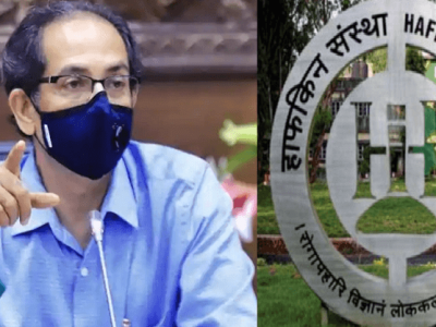 हाफकीनला लस निर्मितीसाठी मान्यता | मुख्यमंत्र्यांच्या प्रयत्नांना यश | राज्याच्या लोकसंख्येइतकी निर्मिती क्षमता