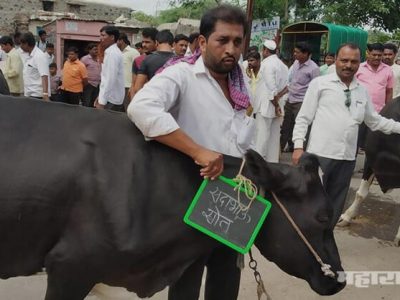 MP raju shetty is continue to stop supply of Milk even after fourth day