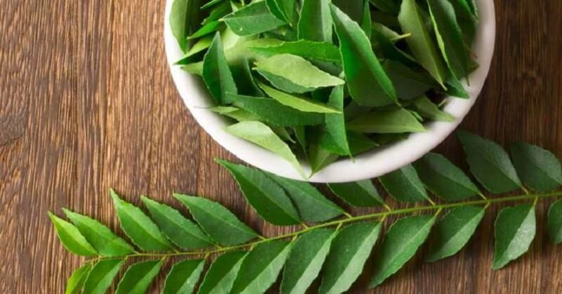 Curry leaves benefits