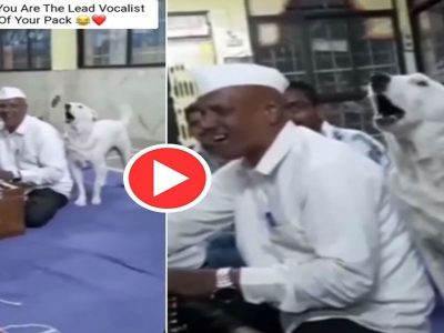 Video Viral | खतरनाक! जेव्हा कुत्रा मंदिरात भजनी मंडळासोबत भजन गातो, व्हिडीओ सोशल मीडिया व्हायरल