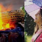 Eating corn in Rainy season – Know advantages of eating corn