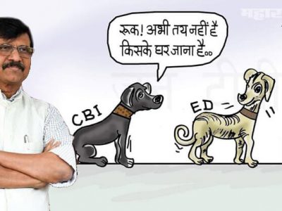 व्यंगचित्रात महाराष्ट्राच्या वेशीवर दोन कुत्रे उभे | एकावर CBI आणि दुसऱ्यावर ED