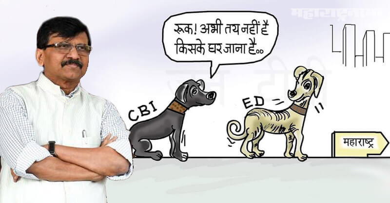 MP Sanjay Raut, BJP Party, Comparing ED CBI, Dogs