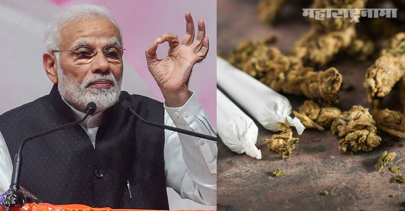 United Nations, Cannabis, Not a dangerous narcotic, India Support