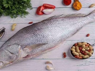 Health First | घोळ मासा खाण्याचे अनेक आरोग्यदायी फायदे