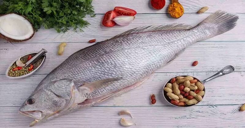 Ghol fish, Tasty, beneficial to health