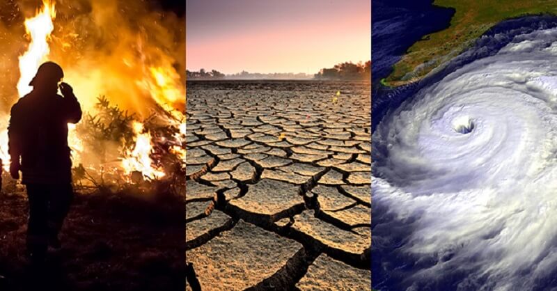 Global warming impact