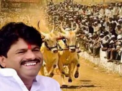परवानगी मिळण्यासाठी गोपीचंद पडळकरांकडून बंदी झुगारुन बैलगाडा-छकडा शर्यतीचे आयोजन