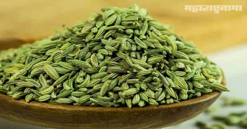Health Benefits, Fennel seeds, Health Fitness, health article