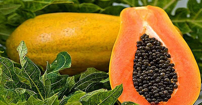 Papaya, beneficial, weight loss, health article