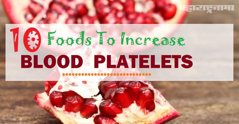 Home remedies, Increase platelet count, White Platelet, Marathi News ABP Maza