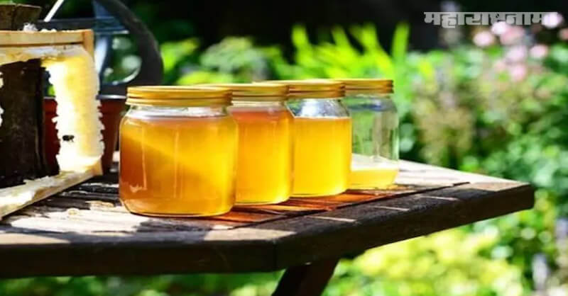 Honey brands, Sugar syrup, CSE, Patanjali Baidyanath Dabur