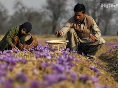 जम्मू काश्मीर आणि लडाखमध्ये आता कोणीही जमीन खरेदी करू शकेल