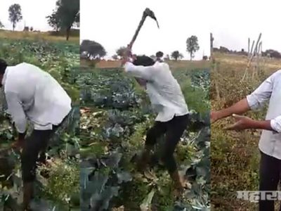 Jalana farmer broke the farm in anger