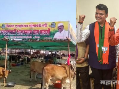 VIDEO: राज्यात मोठा चारा घोटाळा, भाजप-सेना समर्थकांचा सरकारी खजिन्यावर दरोडा: स्टिंग ऑपरेशन
