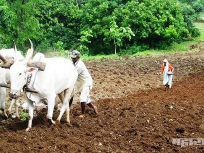 mharashtra government is not financially capable for farmers load waivers