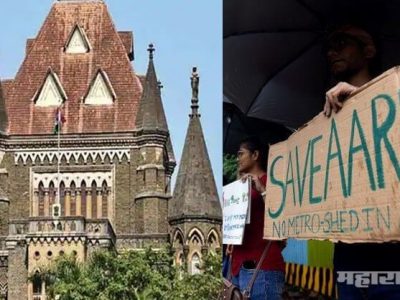 सरकारला अर्थशास्त्र सांभाळता येत नाही; पर्यावरणशास्त्र काय सांभाळणार? न्यायालय