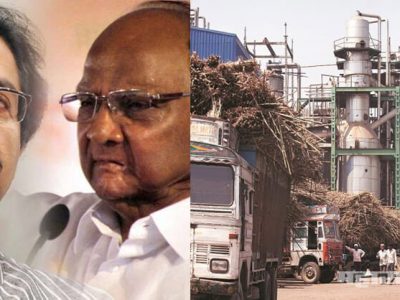ठाकरे-पवार दणका! भाजपने स्वपक्षासंबधित साखर कारखान्यांना दिलेली ३१० कोटीची हमी रोखणार?