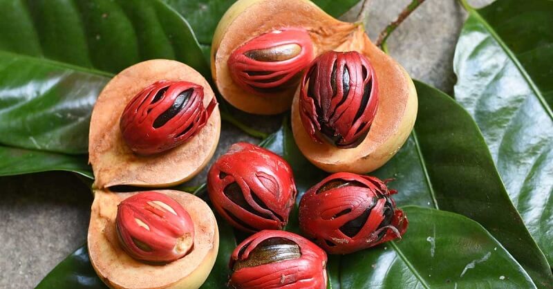 Nutmeg beneficial for Health 