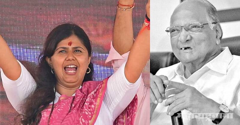 NCP, Shivsena, Congress, BJP, Beed, Pankaja Munde