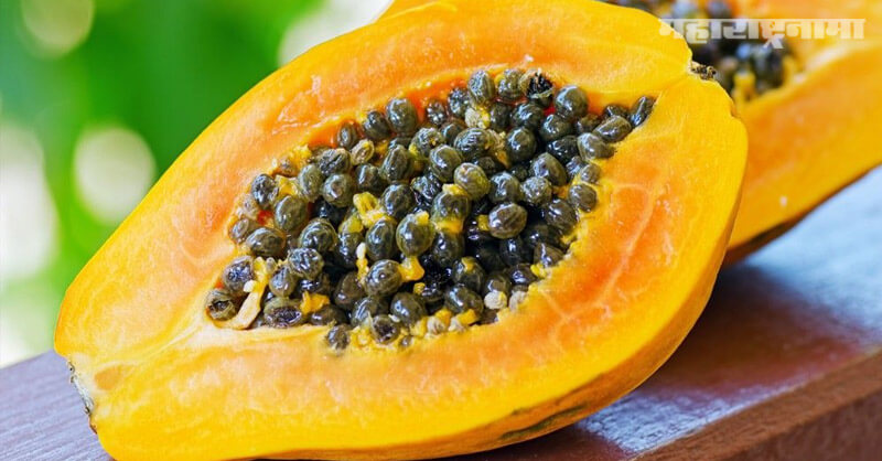 Papaya seeds, healthy, Health fitness, Marathi News ABP Maza