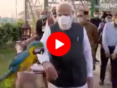 VIDEO | मोदींची केवडिया झू सफारी | त्या पोपटाचा ४ हाथ लांब राहण्याचा निर्णय पण..