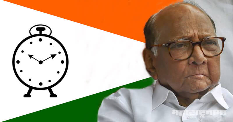 NCP MLA Baban Shinde, MLA Dilip Sopal, NCP, Sharad Pawar, Ajit Pawar, Maharashtra Assembly Election 2019