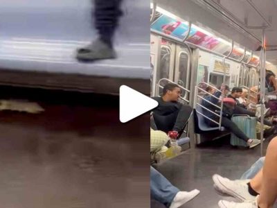 Viral Video | मेट्रो ट्रेनमध्ये उंदीर चढला, प्रवाशांची पळापळ आणि अनेकांचे पाय वरती, व्हिडिओ प्रचंड व्हायरल