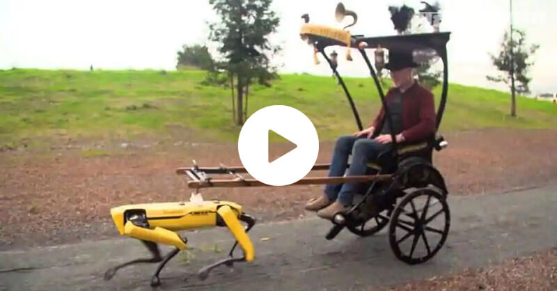 Robot Dog, pulling a rickshaw