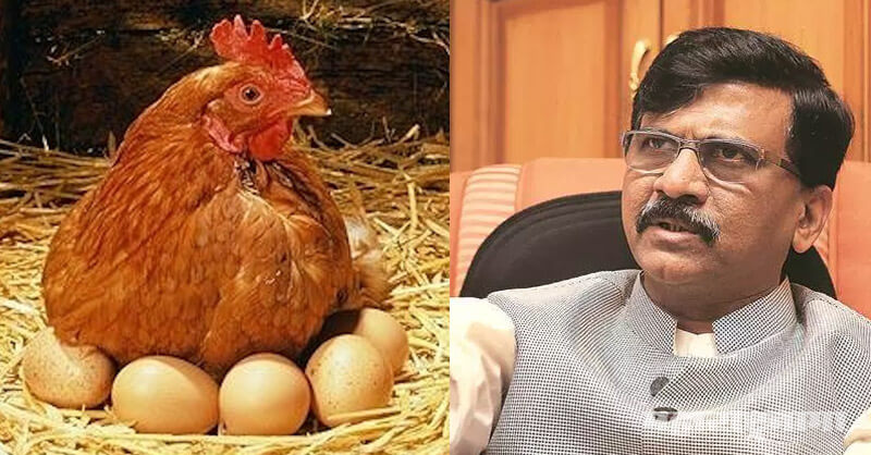 Sanjay Raut, MP Sanjay Raut, Shivsena MP sanjay Raut, Hens, Eggs, vegetarian Eggs, vegetarian Hens