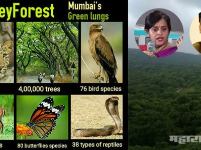 महाविकास आघाडीच्या एका निर्णयाने आरेतील २१९ दुर्मिळ प्राण्यांच्या प्रजातींना जीवदान