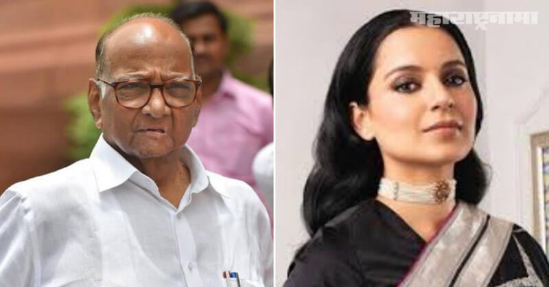 NCP Sharad Pawar, BMC, Kangana Ranaut, Marathi News ABP Maza