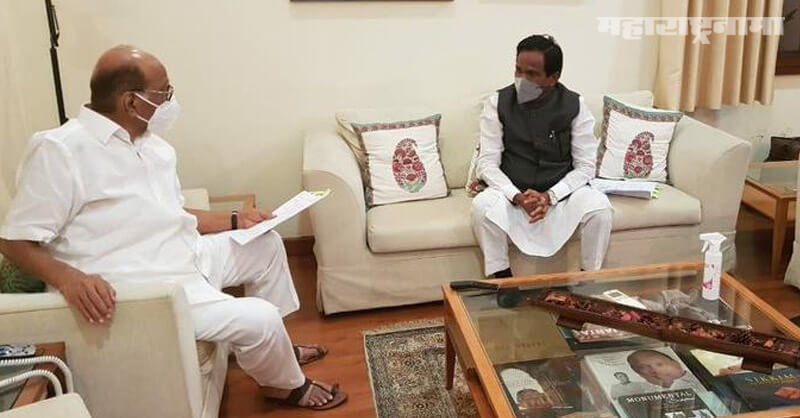 BJP MP Raosaheb Danve, NCP Chief Sharad Pawar, Onion Producer Farmers, Marathi News ABP Maza