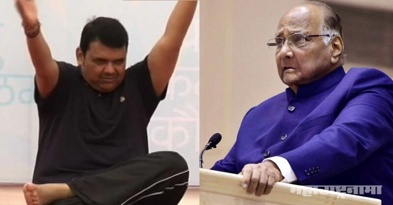 Sharad Pawar, CM Devendra Fadnavis, Wrestler Remark