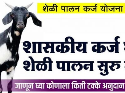 ग्रामीण तरुणांसाठी नाविन्यपूर्ण योजनेची माहिती | असा मिळतो शेळीपालन योजनेचा लाभ – वाचा माहिती
