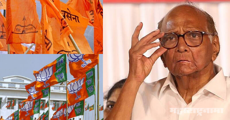 NCP, Shivsena, BJP Maharashtra, Sharad Pawar, Ajit Pawar, Maharashtra Assembly Election 2019
