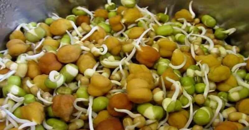 benefits of sprouts