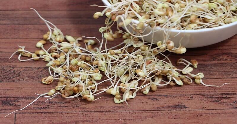 benefits of sprouted Matki