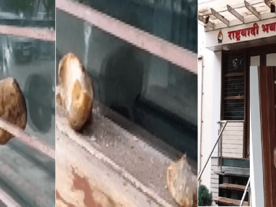 राष्ट्रवादीच्या सोलापुरातील कार्यालयावर दगडफेक | हल्लेखोरांमध्ये काचा फुटतील एवढाही जोर नव्हता?