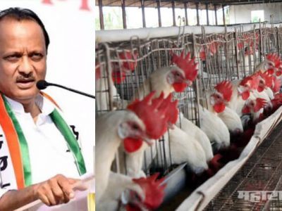 चिकन-मटण खाल्ल्याने कोरोना व्हायरल होत नाही: अजित पवार