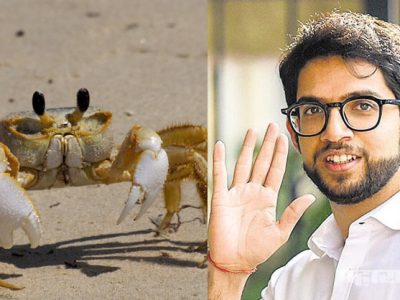 खेकड्यांमुळे धरण कसे फूटू शकते? विद्यार्थ्याचा आदित्य ठाकरेंना सवाल